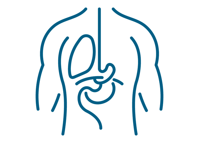 Stomach | DAP