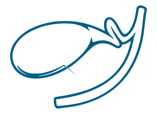 Gallbladder | DAP
