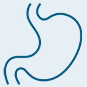 Esophagus | DAP