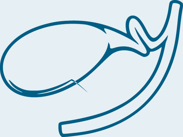 Gallbladder | DAP